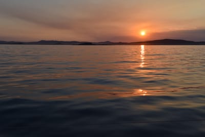 DSC_5388.JPG