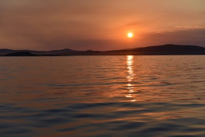 DSC_5389.JPG