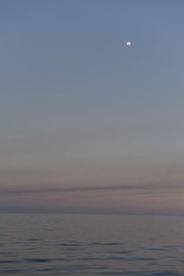 DSC_5392.JPG
