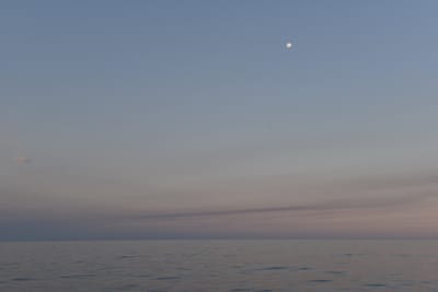 DSC_5393.JPG