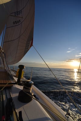 DSC_5452.JPG