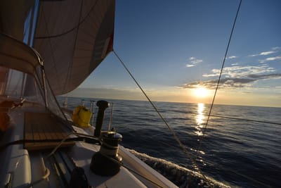 DSC_5453.JPG