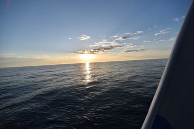 DSC_5462.JPG