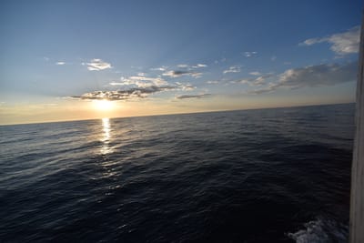 DSC_5463.JPG