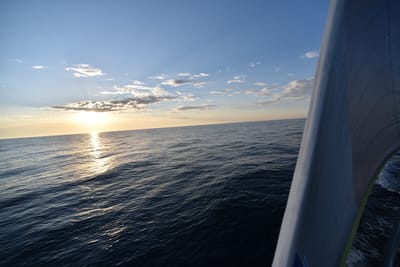 DSC_5464.JPG