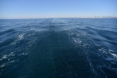 DSC_5485.JPG