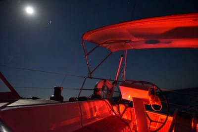 DSC_5500.JPG