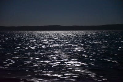 DSC_5517.JPG