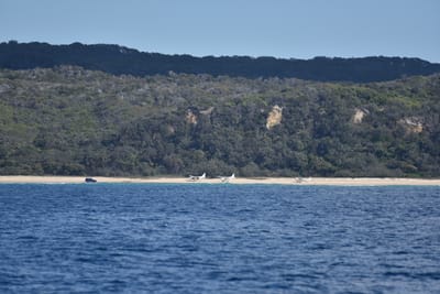 DSC_5531.JPG