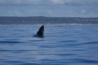DSC_5542.JPG
