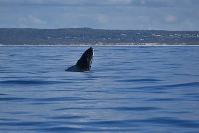 DSC_5543.JPG