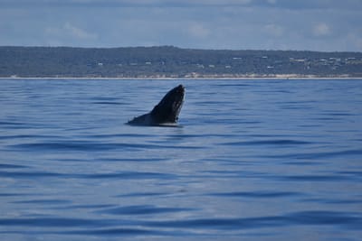 DSC_5544.JPG