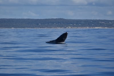 DSC_5545.JPG