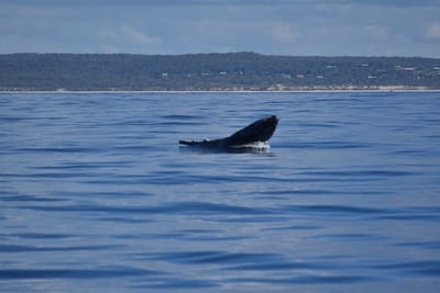DSC_5546.JPG