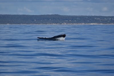 DSC_5547.JPG