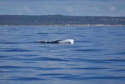 DSC_5548.JPG