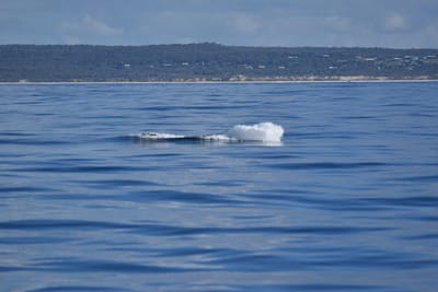 DSC_5549.JPG