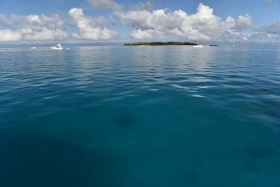 DSC_5658.JPG