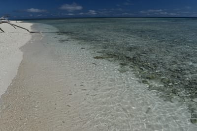 DSC_5661.JPG