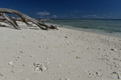 DSC_5662.JPG