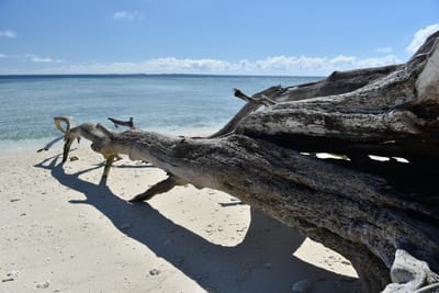 DSC_5664.JPG