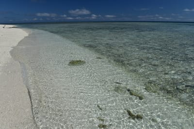 DSC_5665.JPG