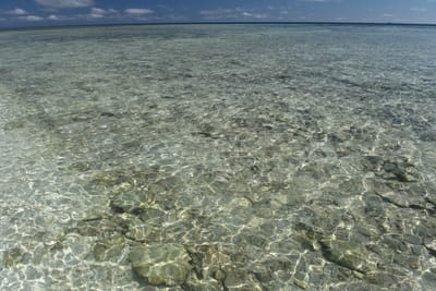 DSC_5667.JPG