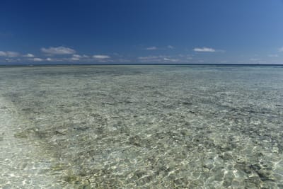 DSC_5668.JPG