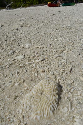 DSC_5670.JPG