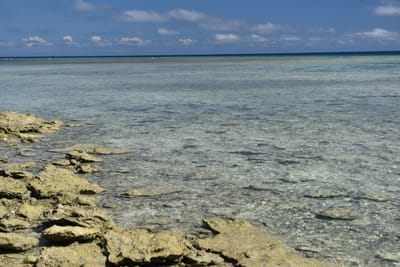 DSC_5676.JPG