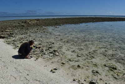 DSC_5682.JPG