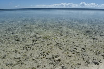 DSC_5683.JPG