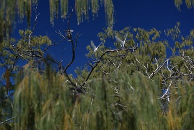 DSC_5684.JPG