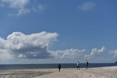 DSC_5685.JPG