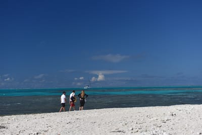 DSC_5686.JPG