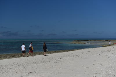 DSC_5687.JPG