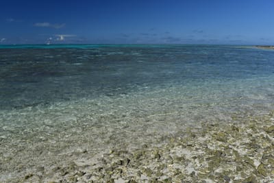 DSC_5688.JPG