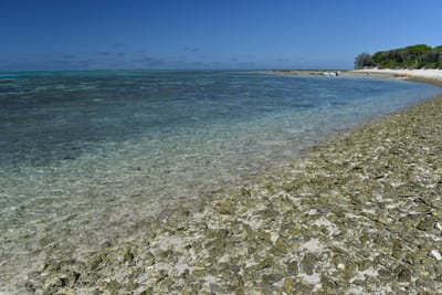 DSC_5689.JPG