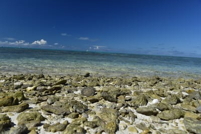 DSC_5691.JPG