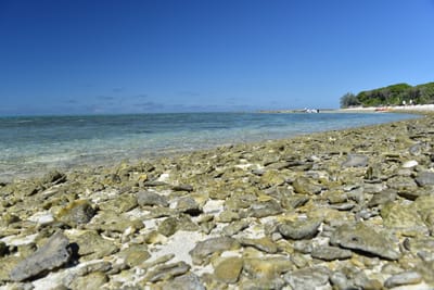 DSC_5693.JPG
