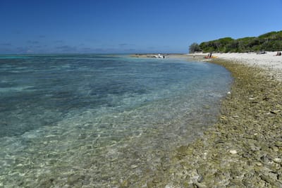 DSC_5694.JPG
