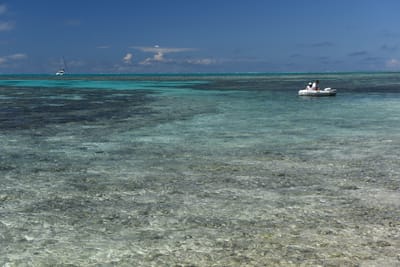 DSC_5695.JPG