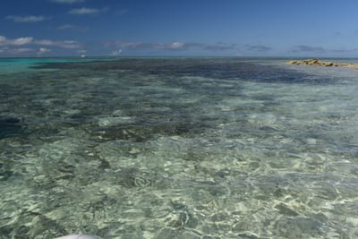 DSC_5704.JPG