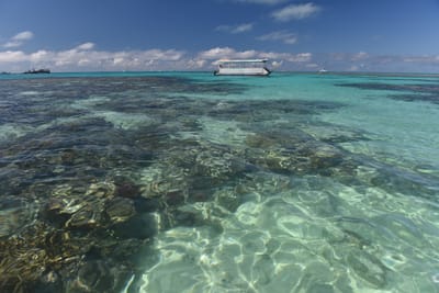 DSC_5706.JPG