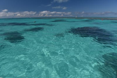 DSC_5709.JPG