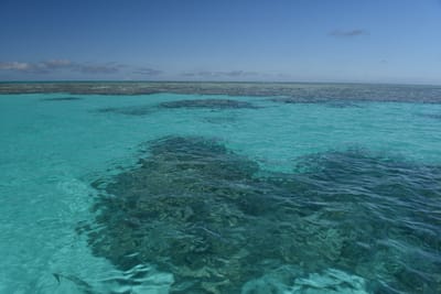 DSC_5712.JPG