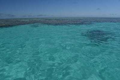 DSC_5713.JPG