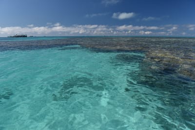 DSC_5714.JPG