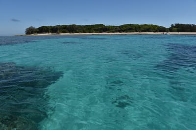 DSC_5715.JPG