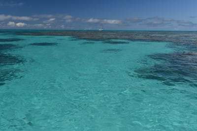 DSC_5716.JPG